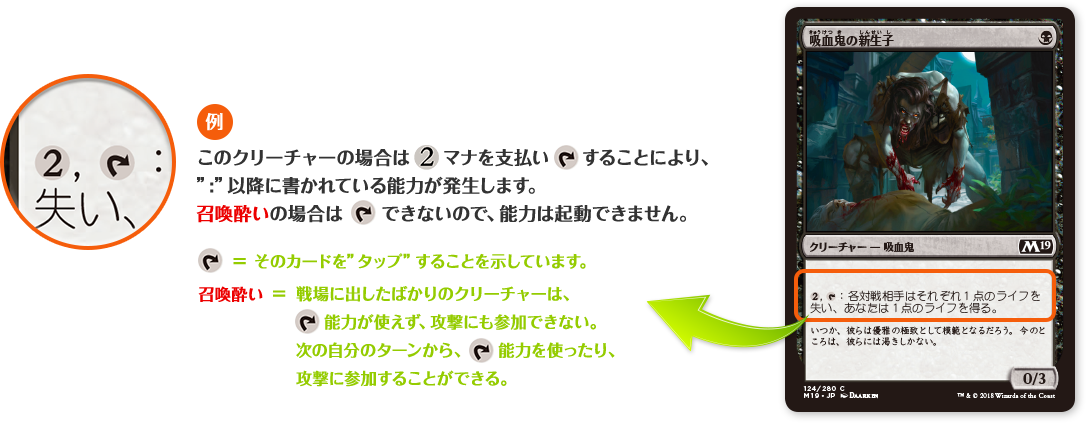 例)このクリーチャーの場合は②マナを支払い'矢印(タップ)'することにより、”:”以降に書かれている能力が発生します。召喚酔いの場合は'矢印(タップ)'できないので、能力は起動できません。'矢印' ＝ そのカードを”タップ”することを示しています。召喚酔い = 戦場に出したばかりのクリーチャーは、'矢印(タップ)'能力が使えず、攻撃にも参加できない。次の自分のターンから、'矢印(タップ)'能力を使ったり、攻撃に参加することができる。